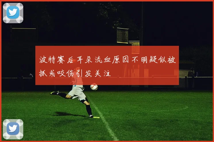波特赛后耳朵流血原因不明疑似被抓或咬伤引发关注